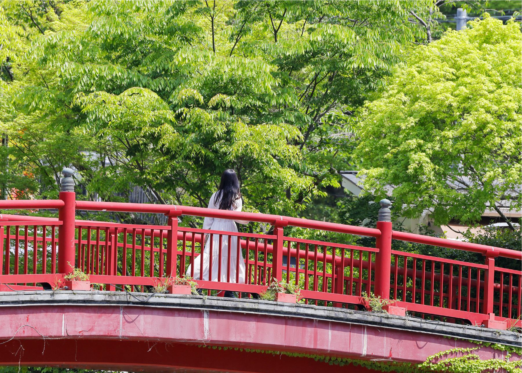 有馬温泉街のねね橋を歩く女性