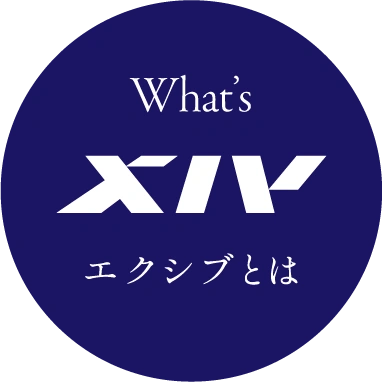 エクシブとは